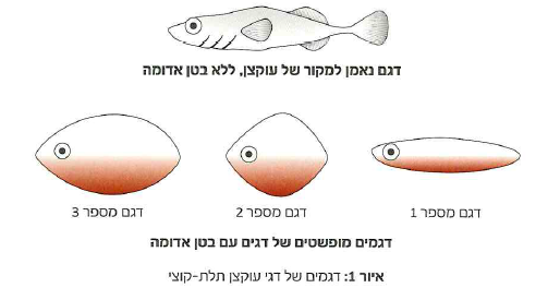 (בספר תרשים)